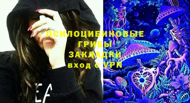 Псилоцибиновые грибы Cubensis  ссылка на мегу рабочий сайт  сайты даркнета состав  Шумерля 